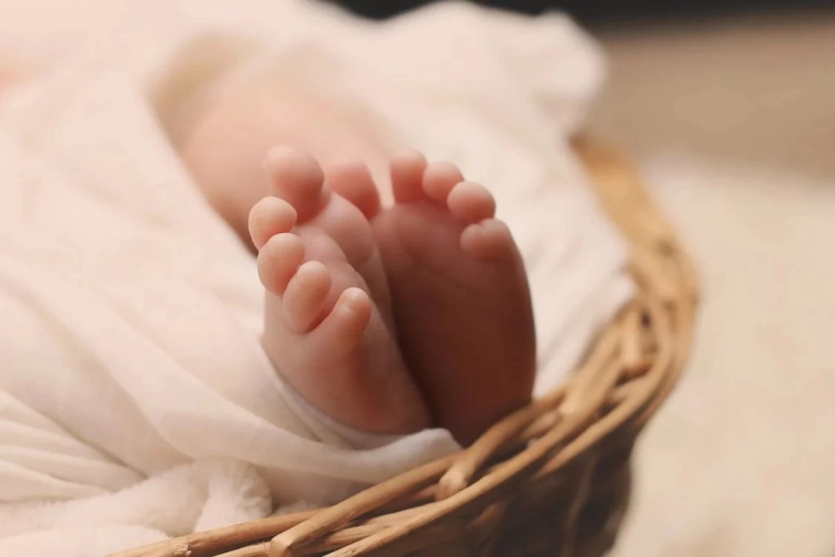Жаңа Конституция күшіне енген күні 857 кішкентай қазақстандық дүниеге келді