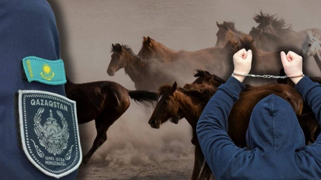Qaraǵandy oblysynda 3 mln teńgeniń malyn urlady degen kúdikpen eki adam ustaldy