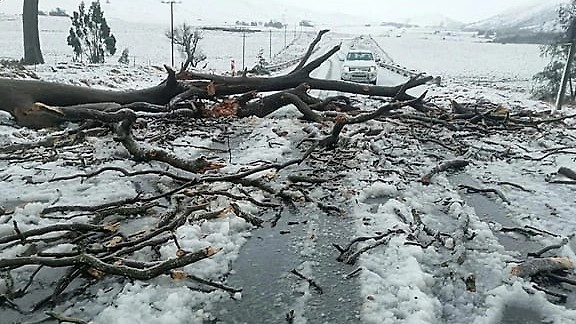 Оңтүстік Африканы қар басып қалды. Ауа температурасы -4 градусқа дейін төмендеді