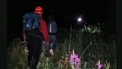 Алматы тауларында үш жасөспірім адасып қалды: үшеуі де аман