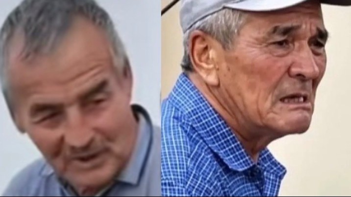 100 жылқы дауы: Мал дәрігері маңызды мәлімдеме жасады (ВИДЕО)