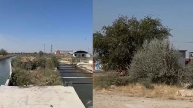 Таразда жаңа туған шақалақтың денесі каналдан табылды